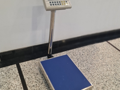 Tehtnica 100 kg 40x30 cm