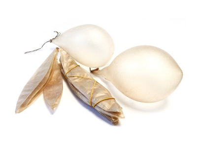 Svinjski mehur naravno sušen 15/20 cm (10 kos)